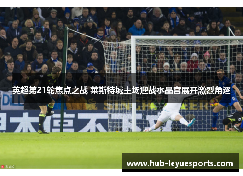 英超第21轮焦点之战 莱斯特城主场迎战水晶宫展开激烈角逐 英超第21轮焦点之战 莱斯特城主场迎战水晶宫展开激烈角逐