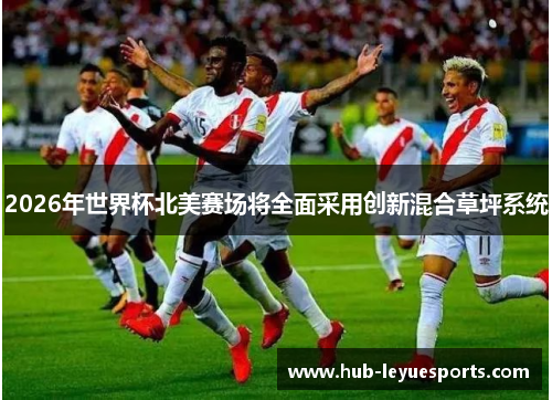 2026年世界杯北美赛场将全面采用创新混合草坪系统 2026年世界杯北美赛场将全面采用创新混合草坪系统
