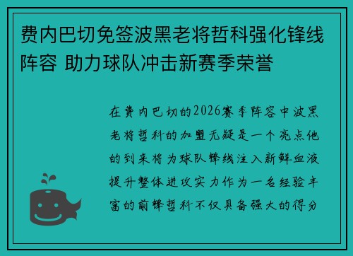 费内巴切免签波黑老将哲科强化锋线阵容 助力球队冲击新赛季荣誉 费内巴切免签波黑老将哲科强化锋线阵容 助力球队冲击新赛季荣誉